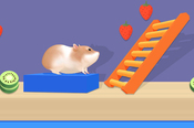 Hamster Maze Online